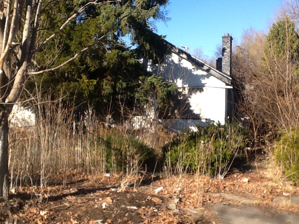 blext.jpg?t=1427728612