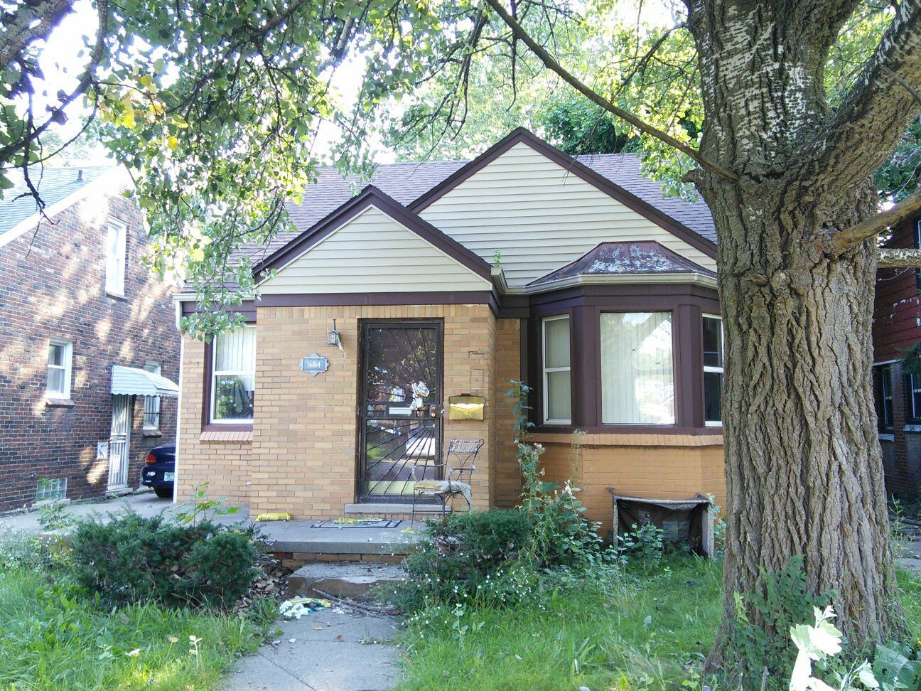 dd0129f4672e6391.jpg?t=1474690135