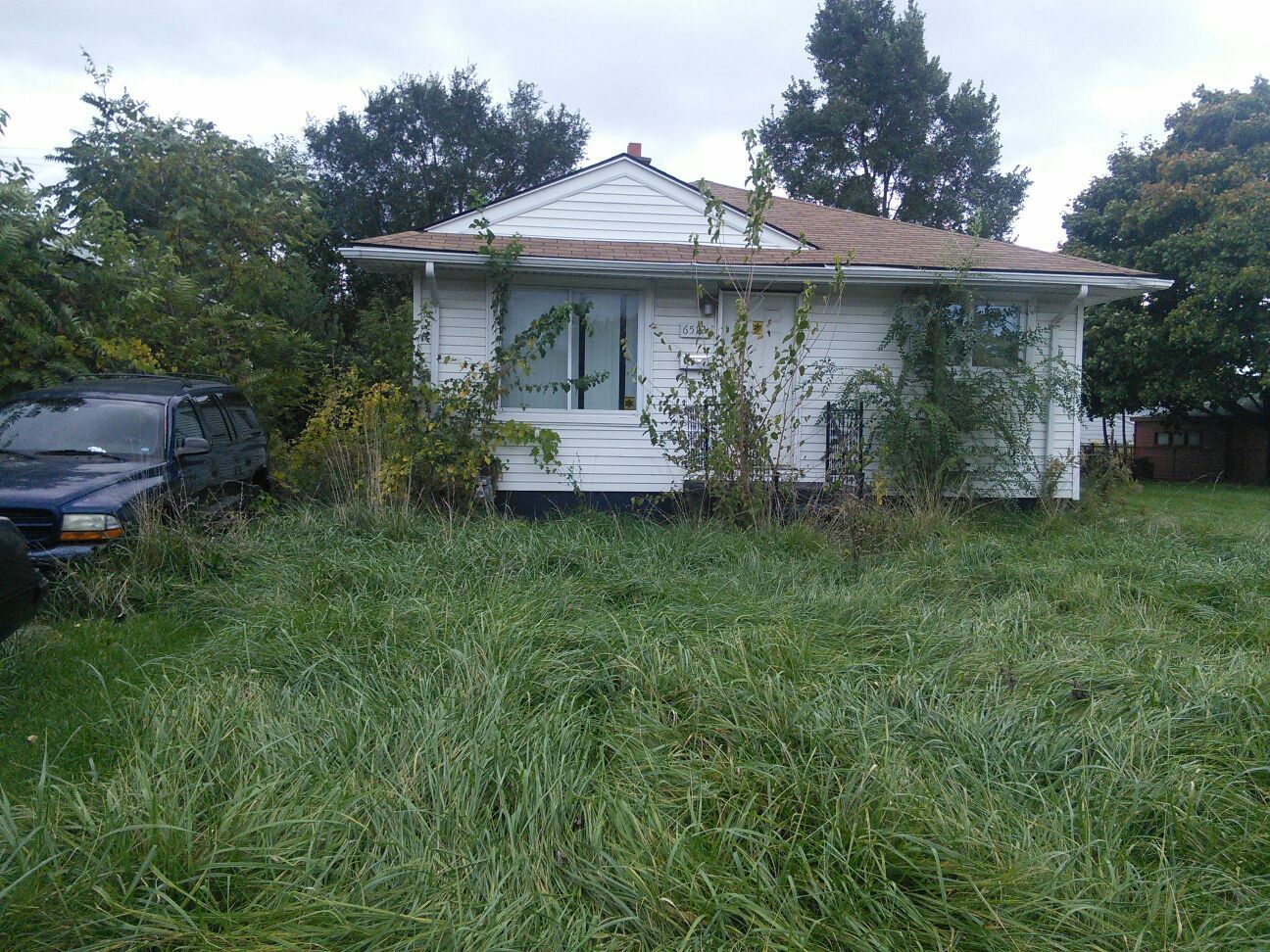 5c000056363729ed.jpg?t=1477368512