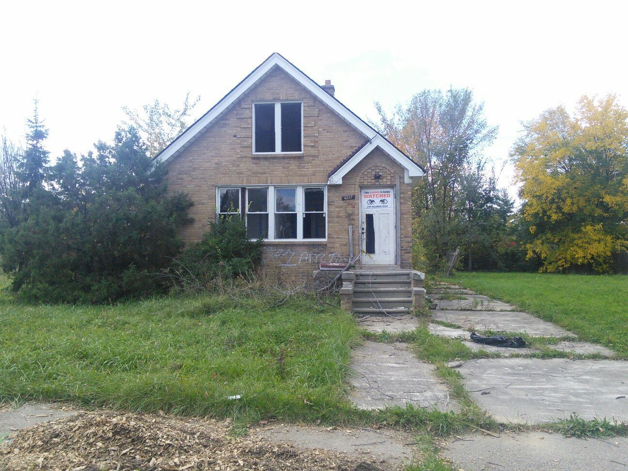 482402a4a6ec3572.jpg?t=1477454965