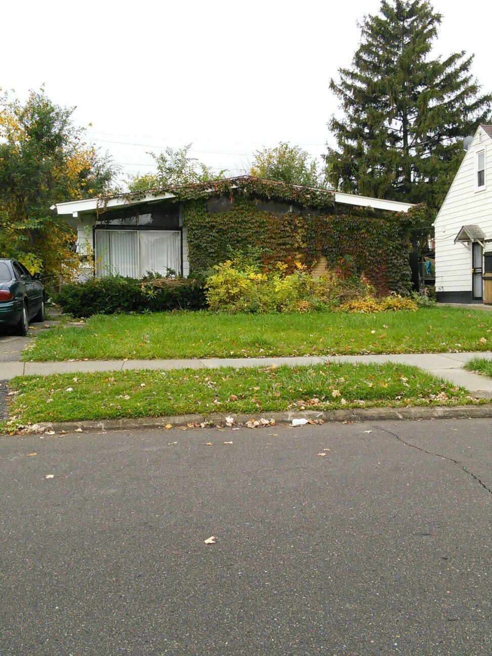 41d8e2fd1c4eb01c.jpg?t=1478146242