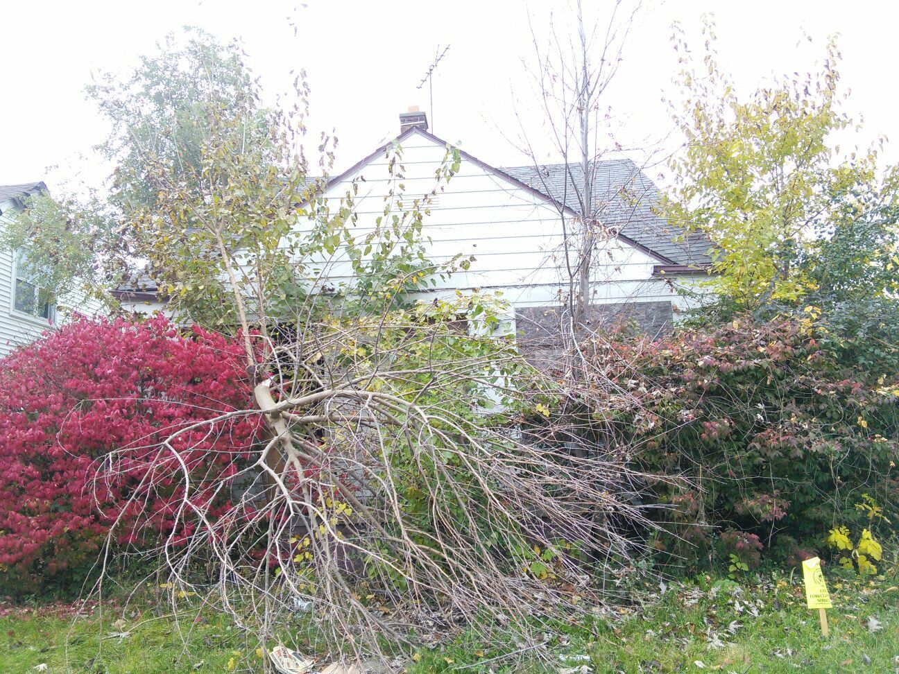 82181777d7fe38ed.jpg?t=1478668173