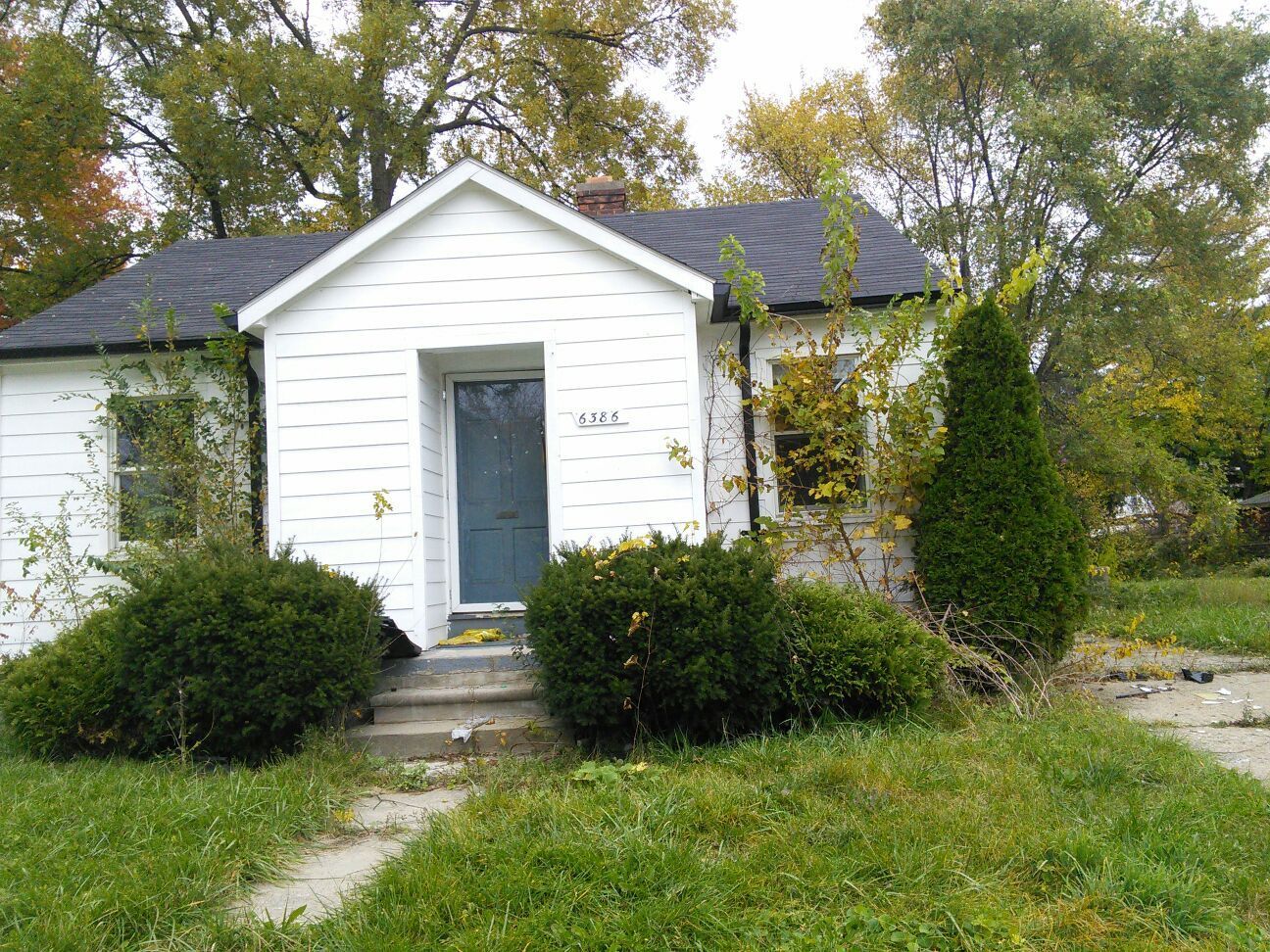 0194a3c1ef6c46a6.jpg?t=1478668203