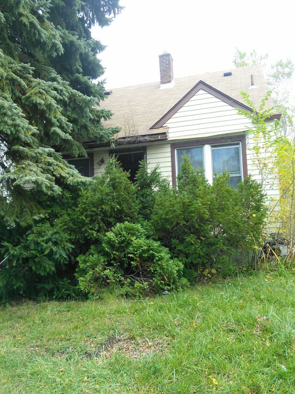 994a3c87d2256ff9.jpg?t=1478668206