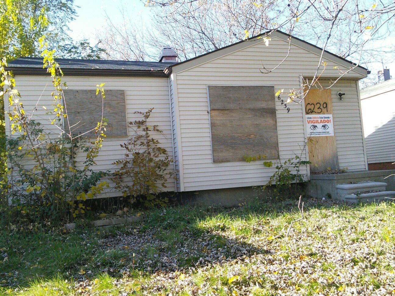 faa25099dd963460.jpg?t=1478754557